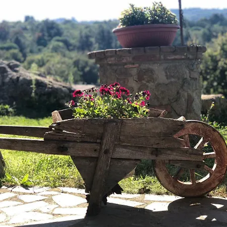 Podere Mazzarelle