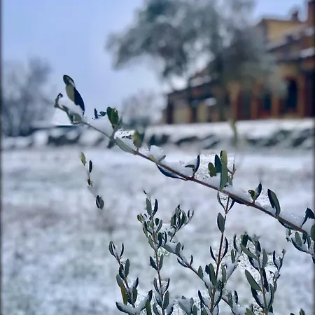 Holiday home Podere Mazzarelle *