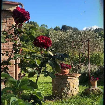 Podere Mazzarelle Сasa de vacaciones Castel del Piano (Tuscany)